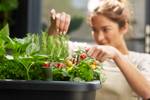 noa potager sur pied living noir